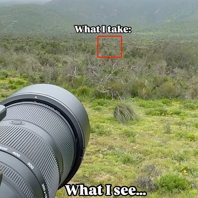  .......egallery   'recent posts' 