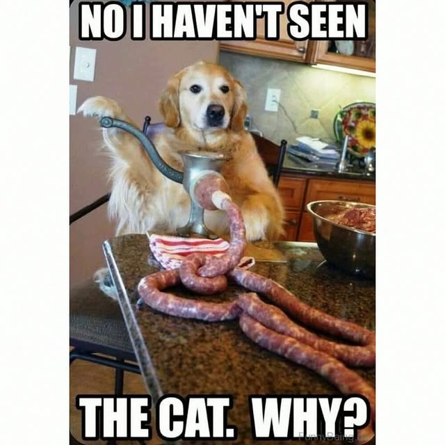  ......reguide   'recent posts' 