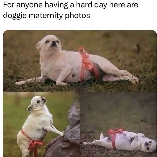  ......iends2   'recent posts' 