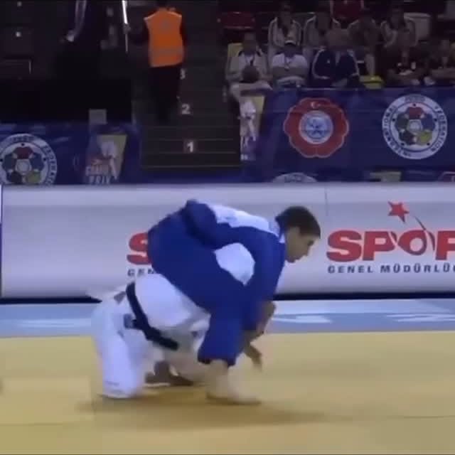  ....clips   'recent posts' 