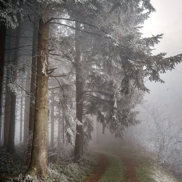  ..........discoverer   'recent posts' 