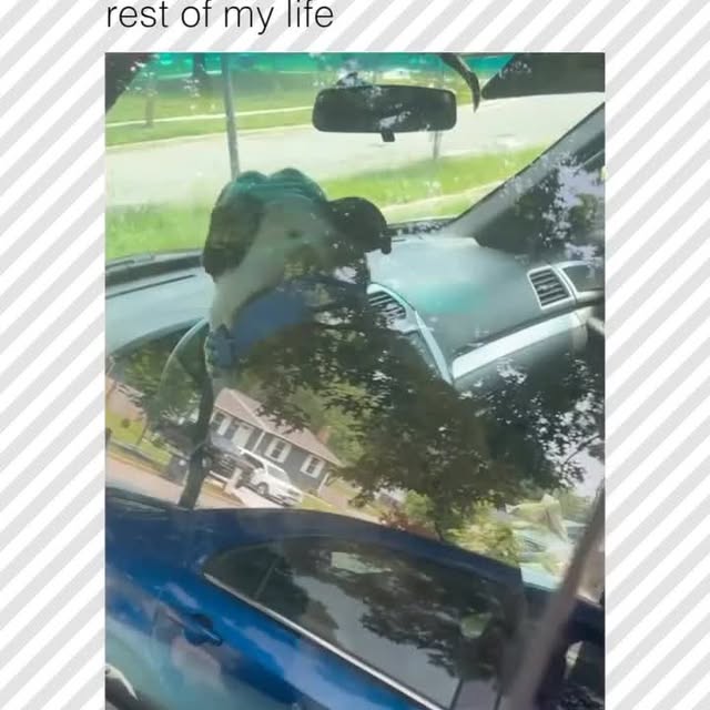  ......rposts   'recent posts' 