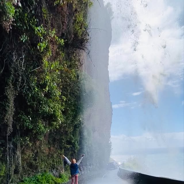  .......nardilli   'recent posts' 