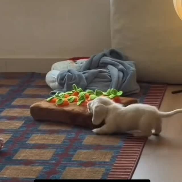  ..........fan.club_   'recent posts' 