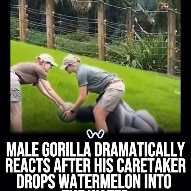  ........alth_club   'recent posts' 