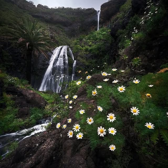  .......utevibes   'recent posts' 