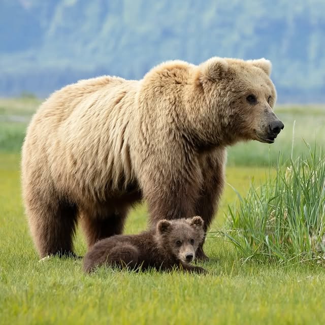  ........vacations   'recent posts' 