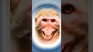  ....... Gamers  'recent videos' 