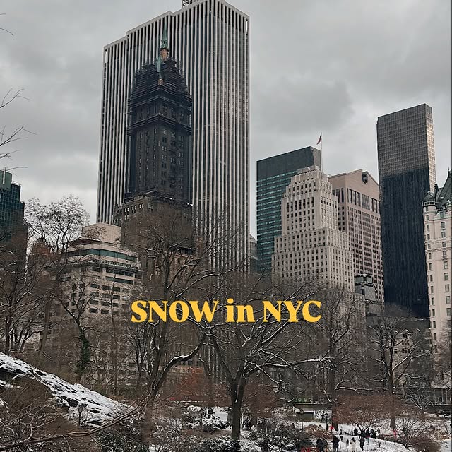  .........gscurator   'recent posts' 