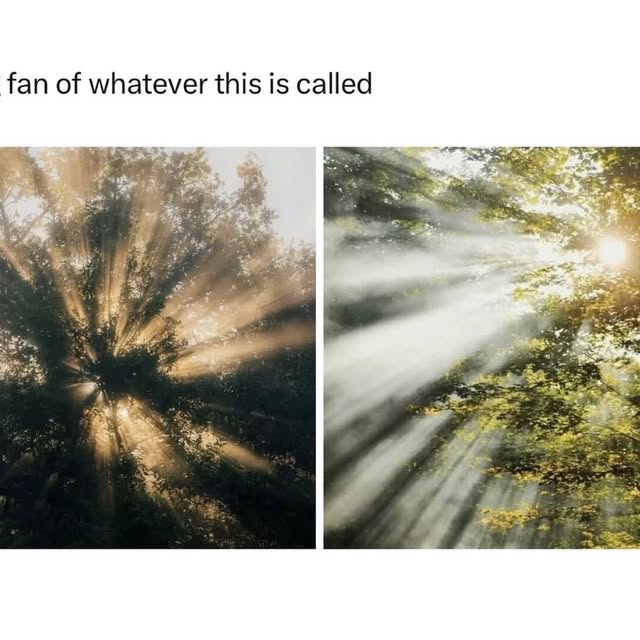  .....coptic   'recent posts' 