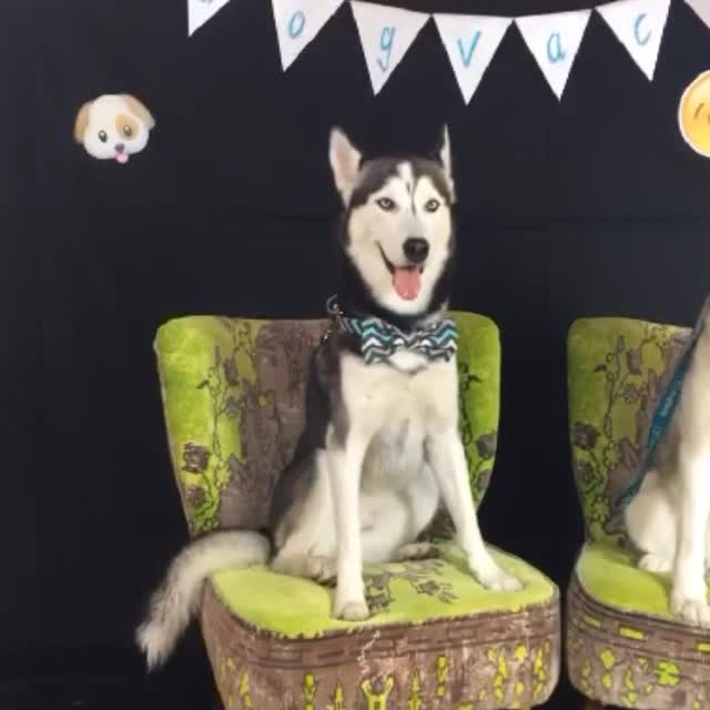  .....tmiles   'recent posts' 