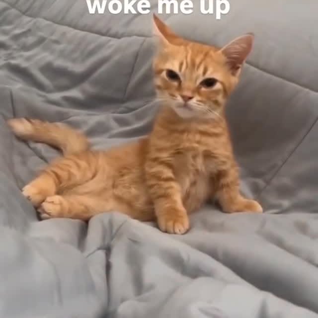  .....attos   'recent posts' 