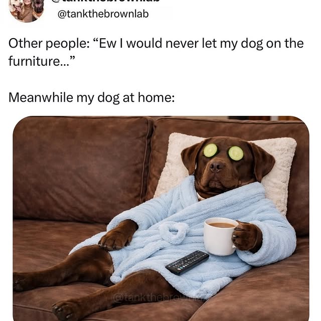  ........ucketlist   'recent posts' 