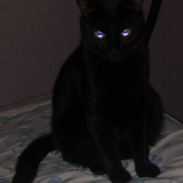  ....mats   'recent posts' 