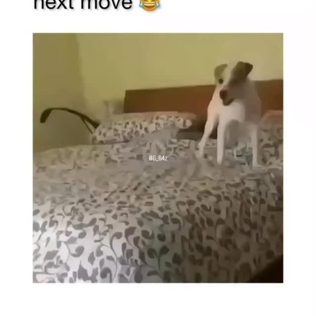  ......ogscute   'recent posts' 