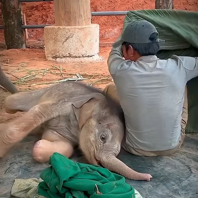  ...urre   'recent posts' 