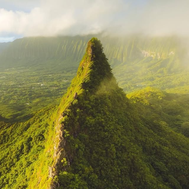  ......sfervor   'recent posts' 