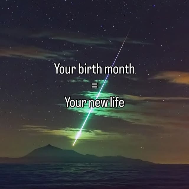  .....iesta   'recent posts' 