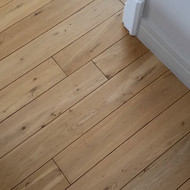  ......aracal   'recent posts' 