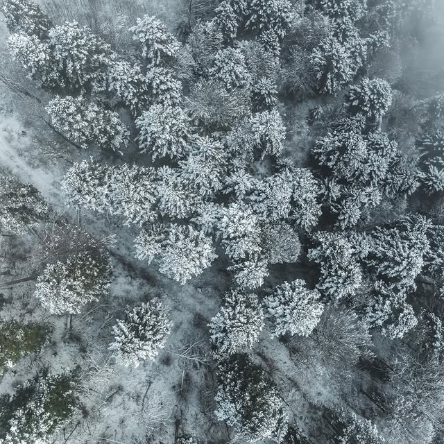  .......avelbook   'recent posts' 