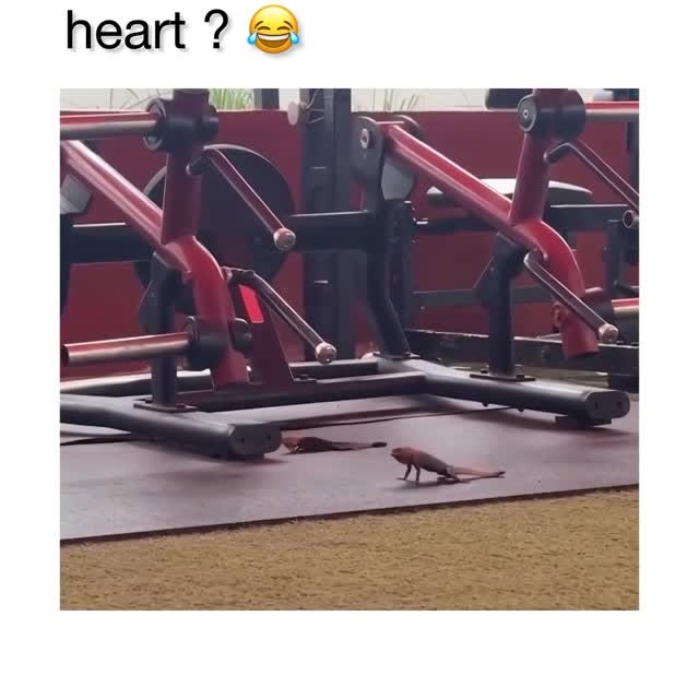  ........eos_fr_us   'recent posts' 