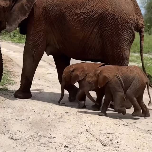  .........._sightings   'recent posts' 