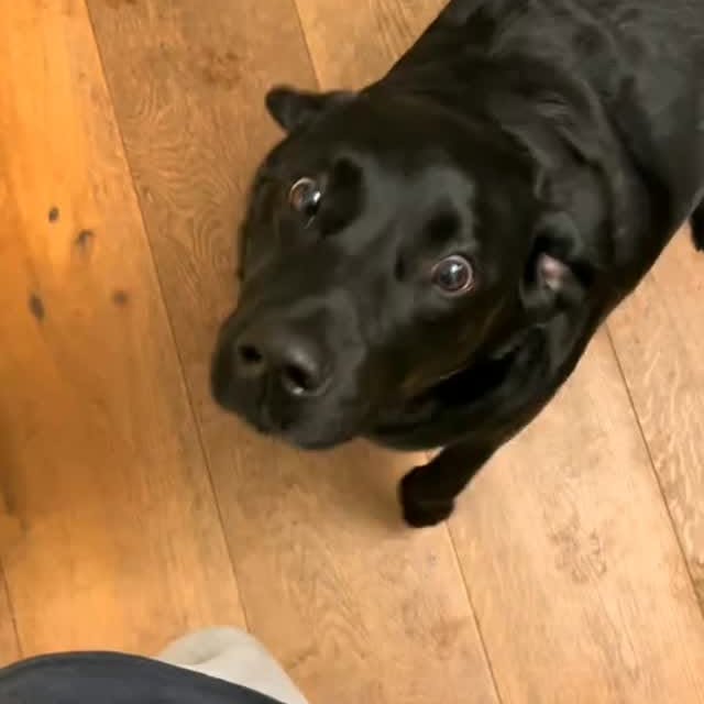  ....ofk9   'recent posts' 