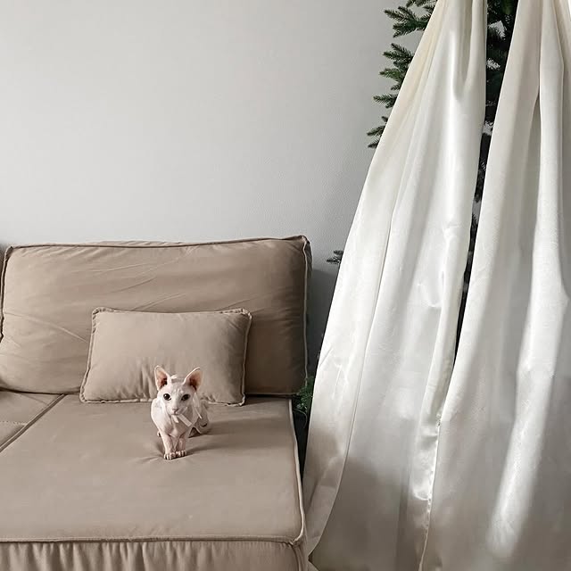  ......sphynx   'recent posts' 