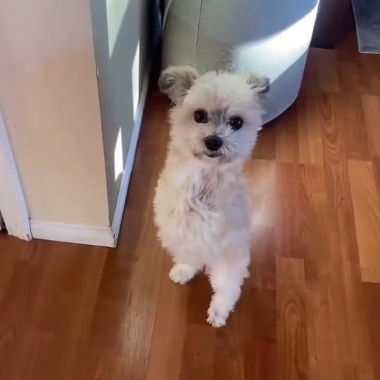  ......psworld   'recent posts' 