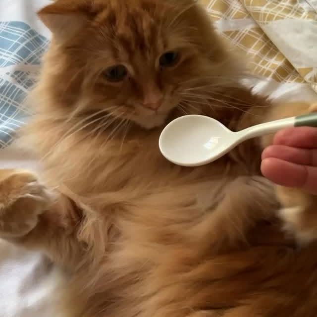  .........tofficial   'recent posts' 