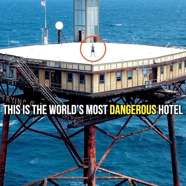  .......summers   'recent posts' 