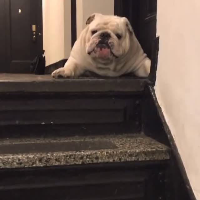  ......rwhite   'recent posts' 