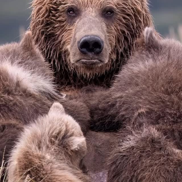  ........atitsbest   'recent posts' 