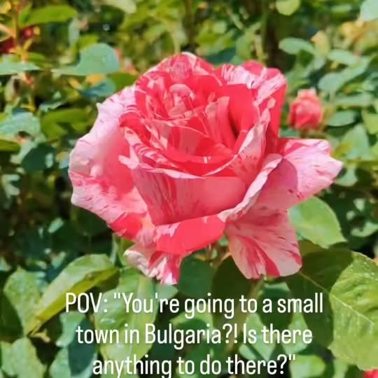  .......erlands   'recent posts' 