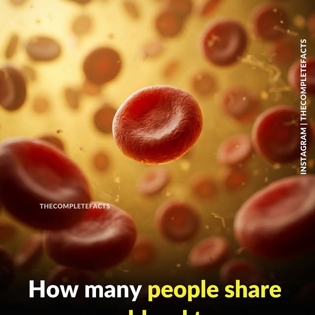  ........etefacts   'recent posts' 