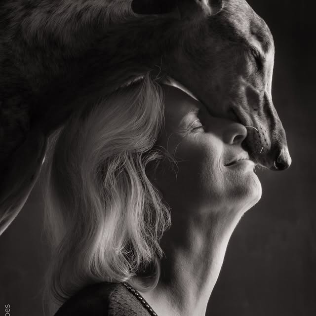  ..........hotography   'recent posts' 