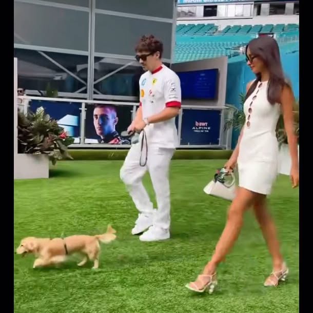  ....reon   'recent posts' 