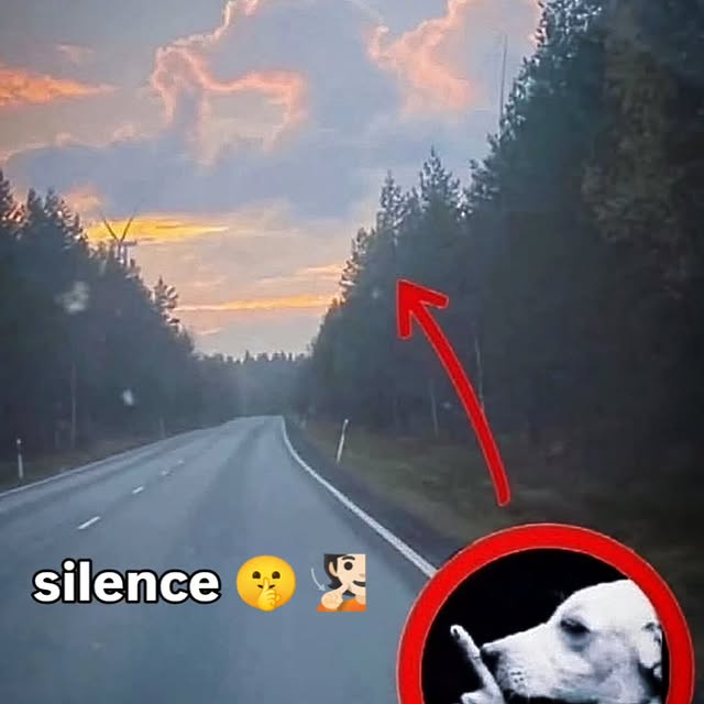  ......urluck   'recent posts' 