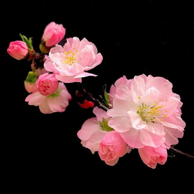  .......exciting   'recent posts' 