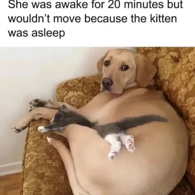  ..ps   'recent posts' 