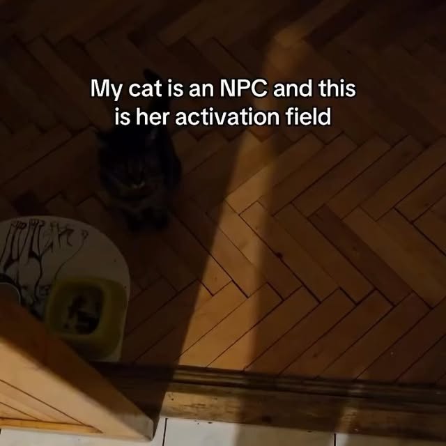  .....li9ht   'recent posts' 