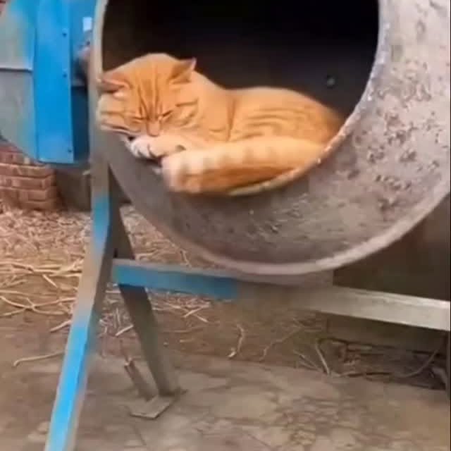  .......plorers   'recent posts' 