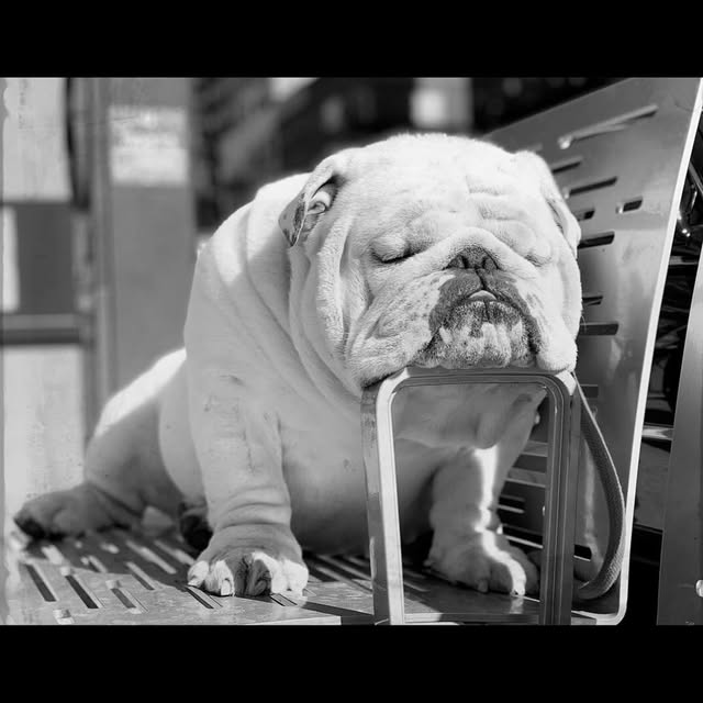  ......rwhite   'recent posts' 