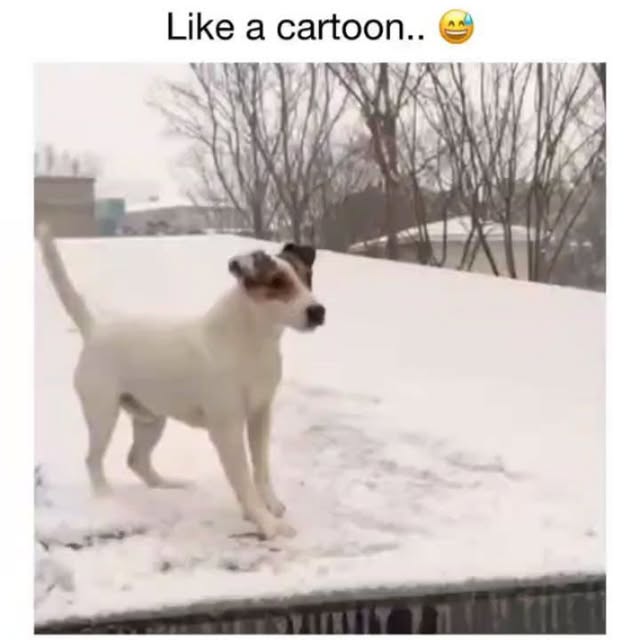  .....ibess   'recent posts' 