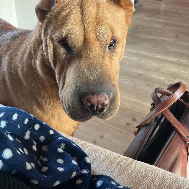  ......i.world   'recent posts' 