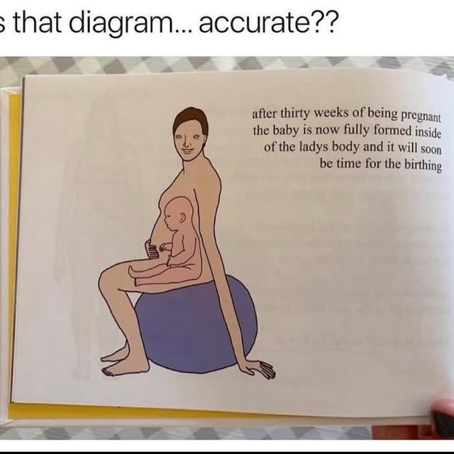  .....memes   'recent posts' 