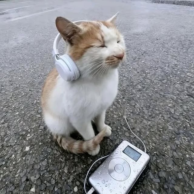  ......odmusic   'recent posts' 