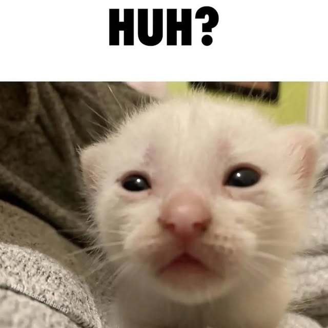  .....attos   'recent posts' 