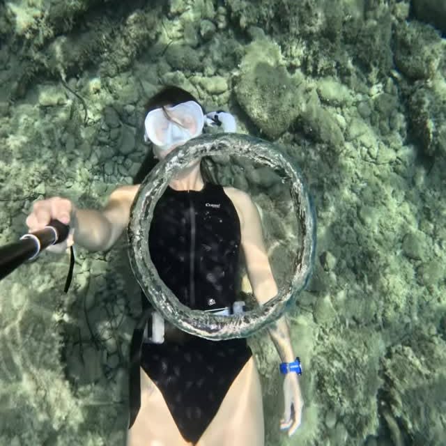  .....amato   'recent posts' 