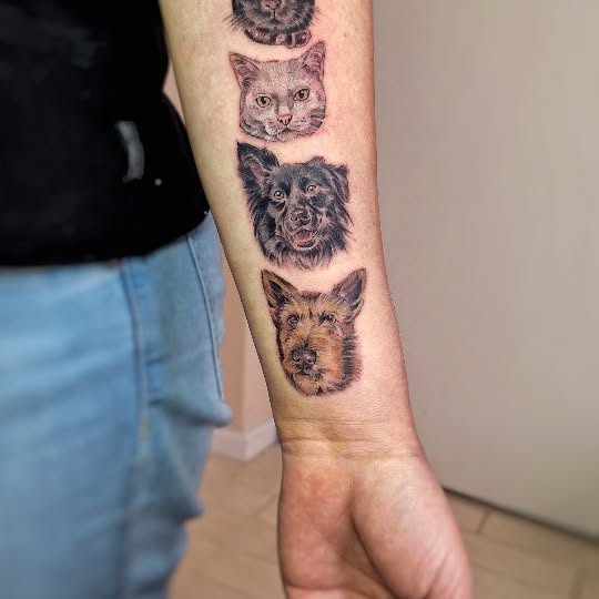  ........ciaalonso   'recent posts' 